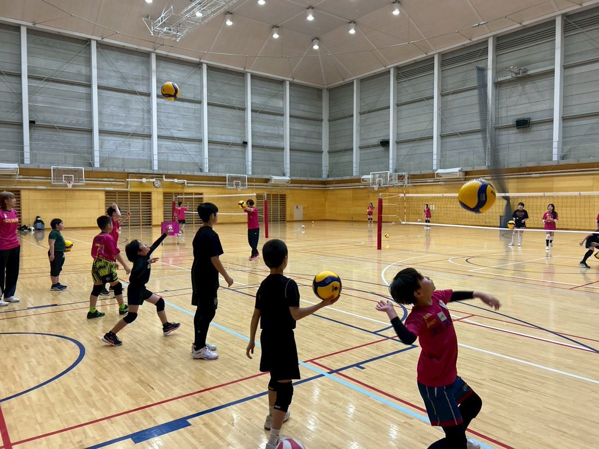 東京グレートベアーズ【バレースクール】 tweet media