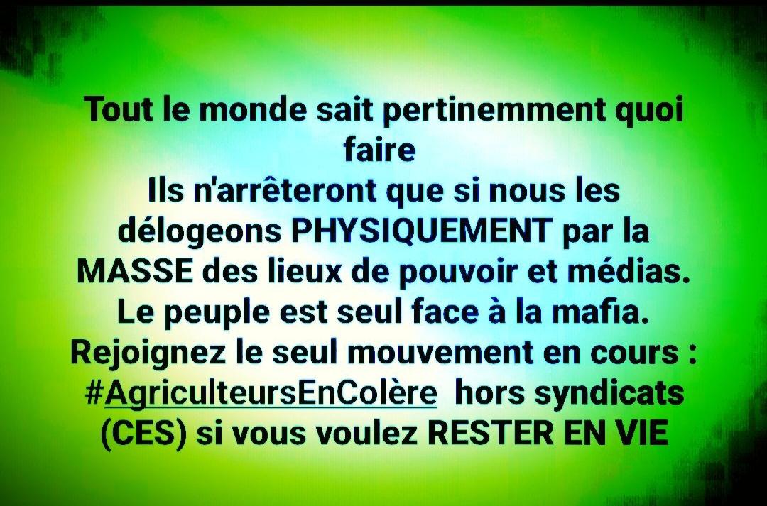 Abipu Césarine tweet media