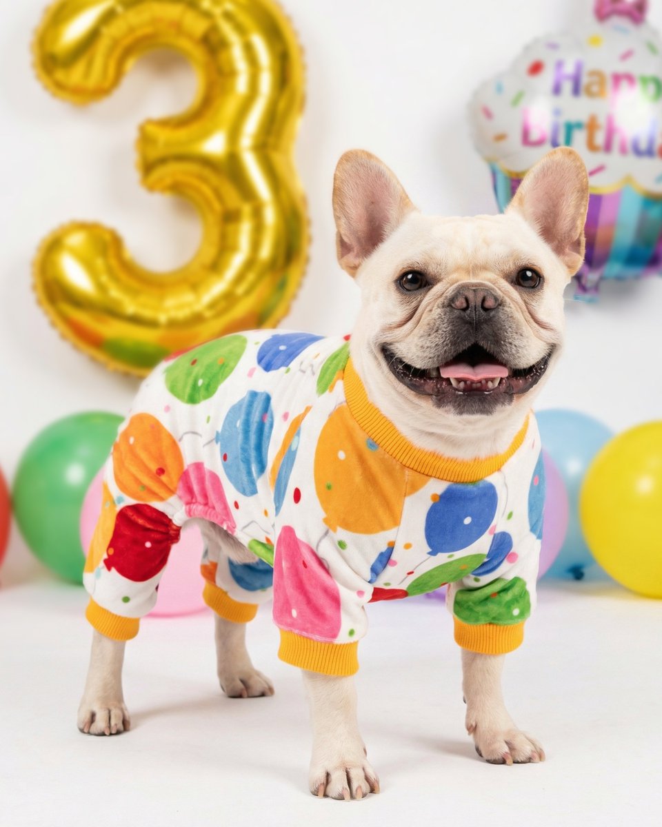fitwarmofficial's tweet image. Another year older, another year barker 🎂🐾

How do you celebrate your pup’s paw-ty? 

#DogBirthday #PawtyTime #DogOutfits #PetFashion #PupStyle
