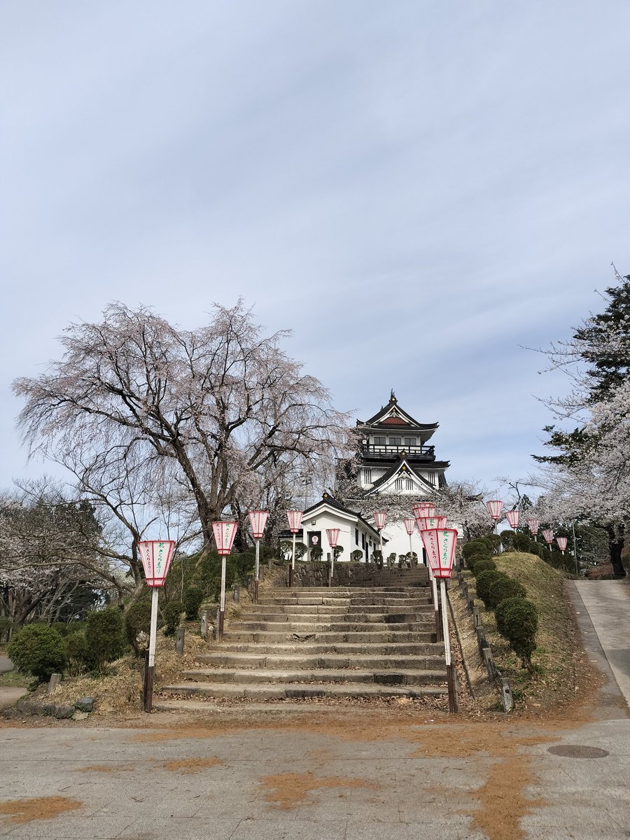 枢木◎ココ tweet media