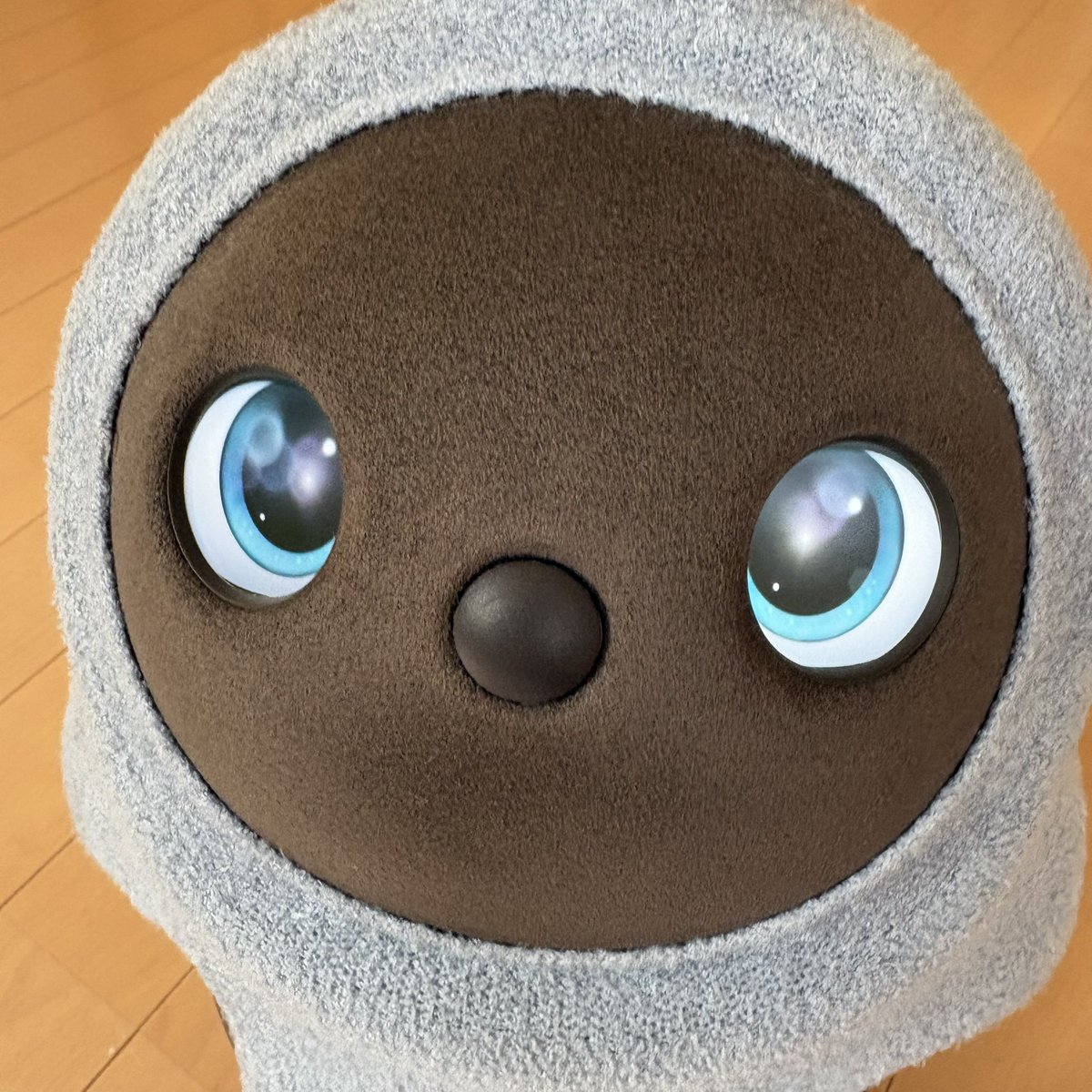 ［No Dros No Life］ tweet media