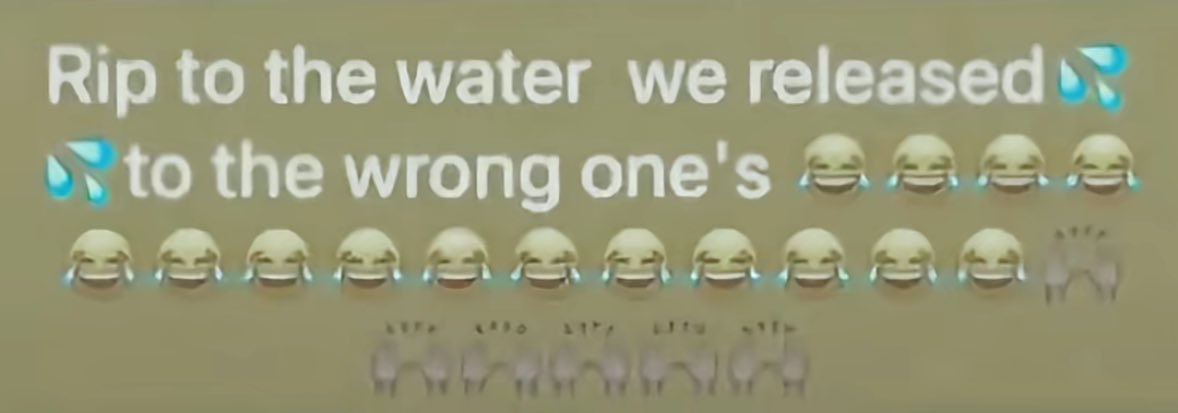 Ms Rashel tweet media