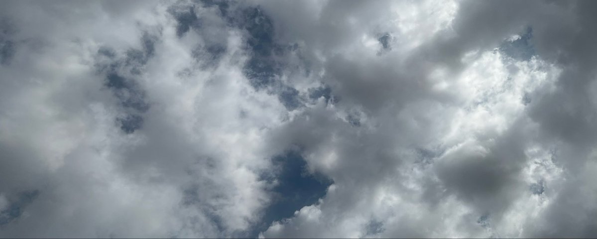 Cactus1__'s tweet image. 