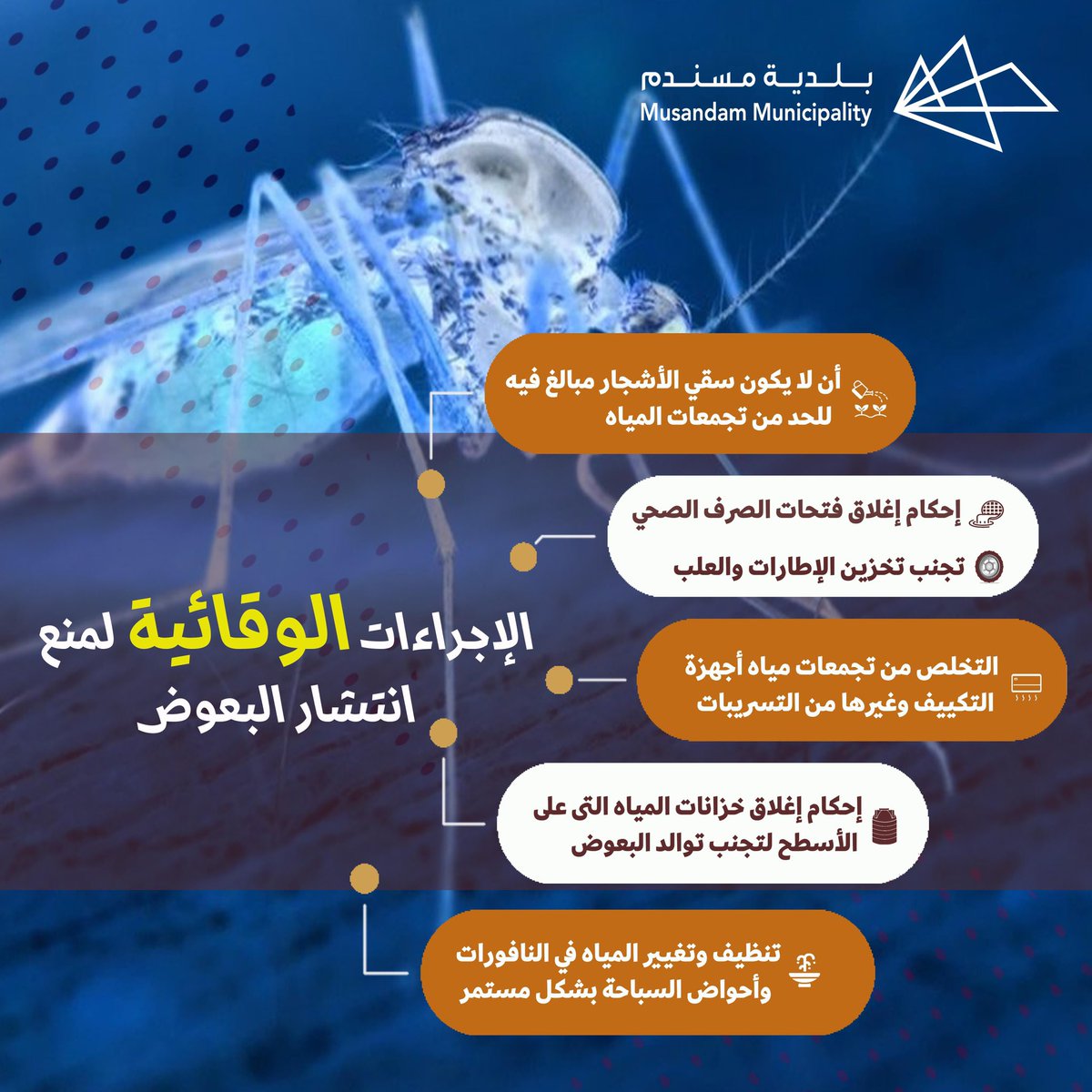 بلدية مسندم tweet media