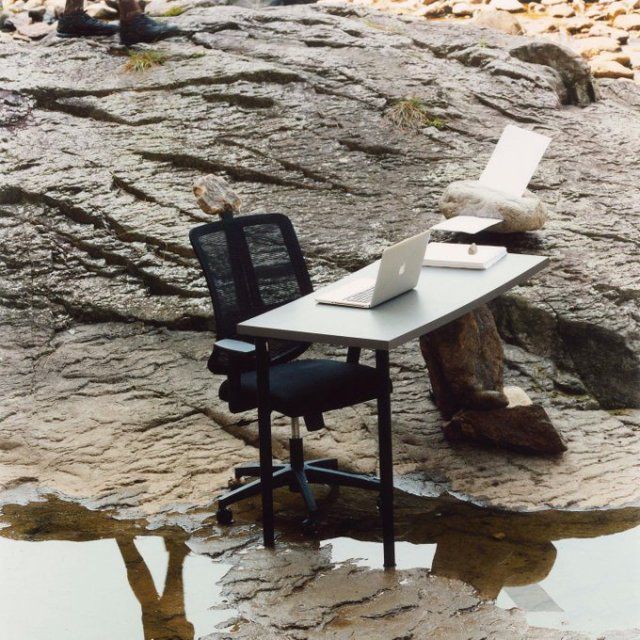 equine__dentist's tweet image. this is where i post from