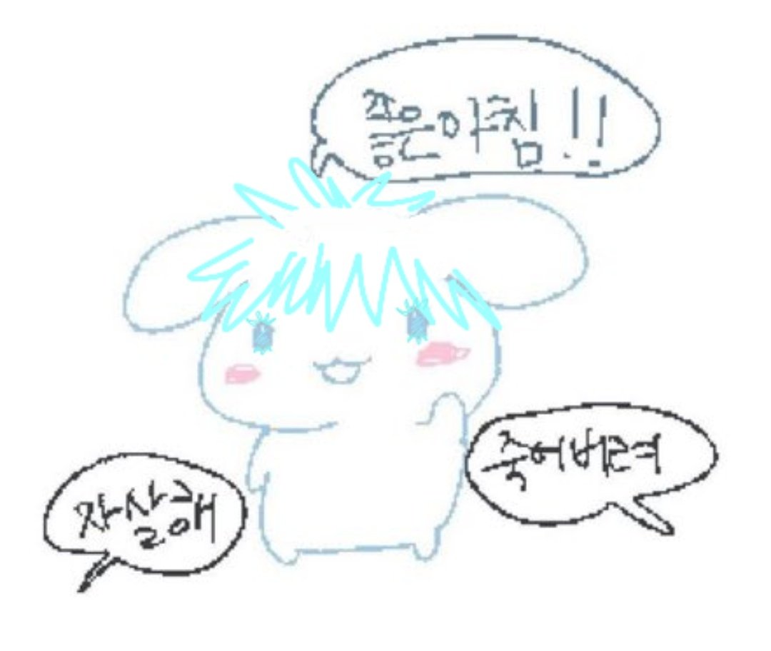 달걀 tweet media