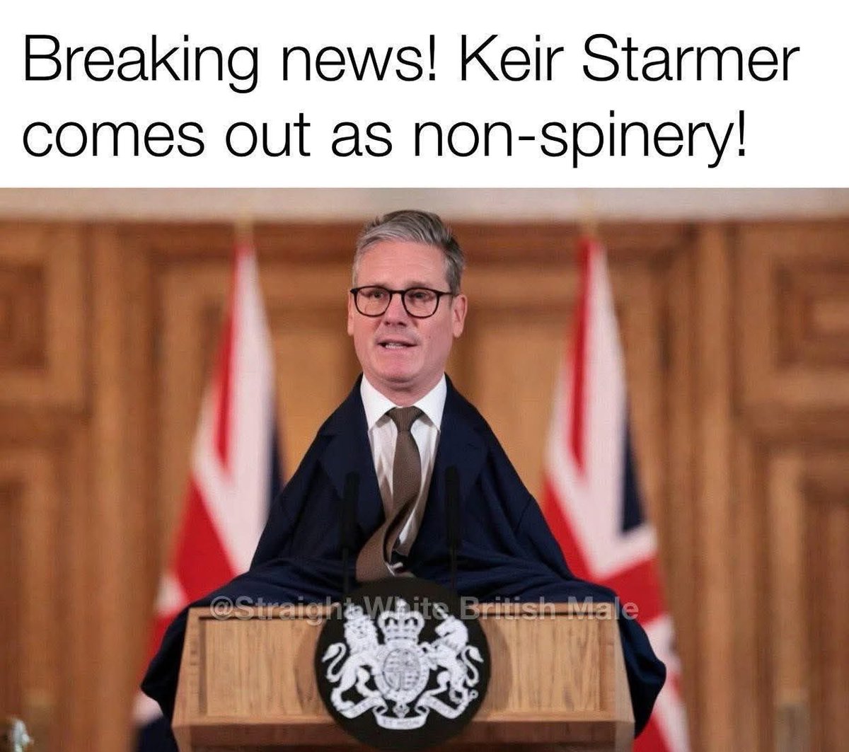 Bumbal bee tweet media