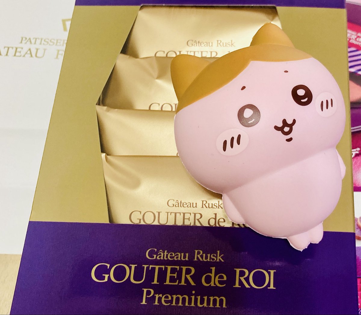 にゃんこおれ🐾 tweet media