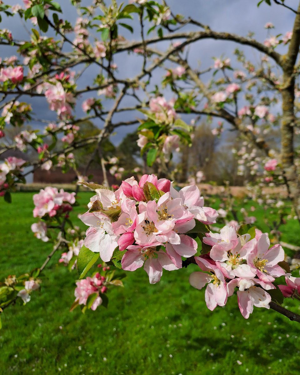 Radartaxis tweet media