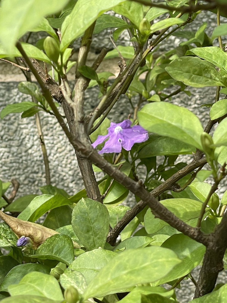 西瓜🍉（记录生活版） tweet media