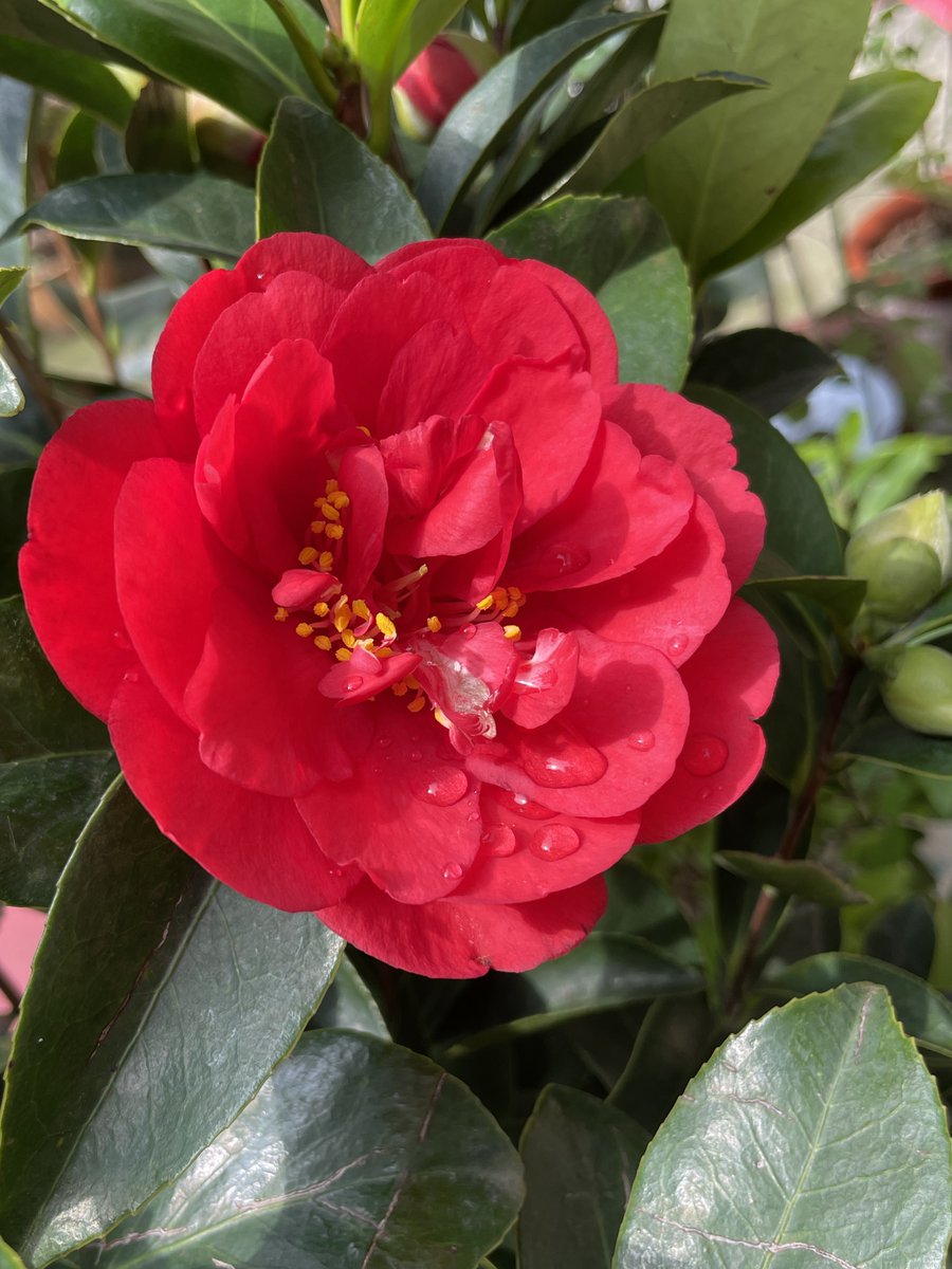 西瓜🍉（记录生活版） tweet media