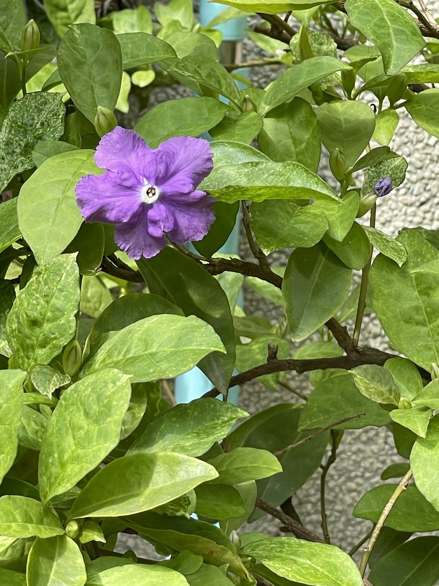 西瓜🍉（记录生活版） tweet media