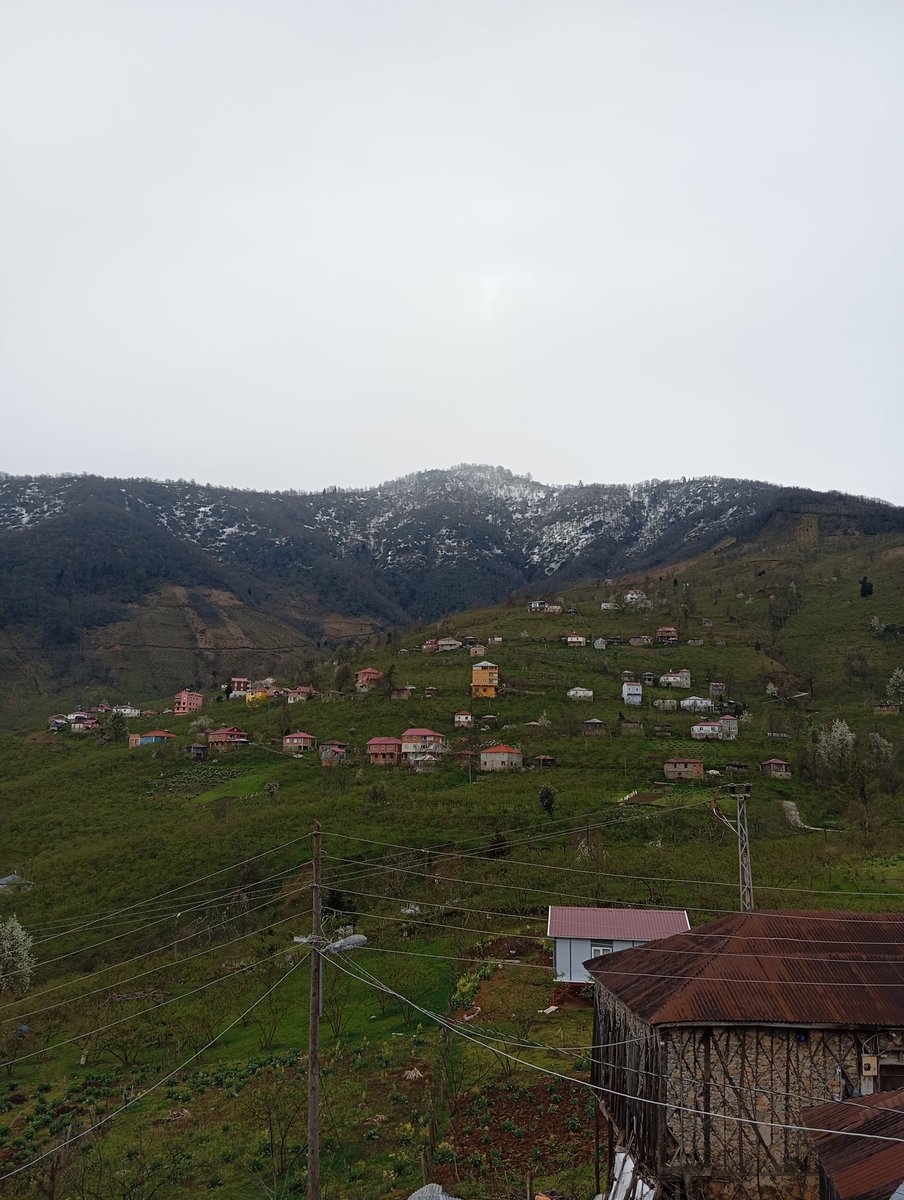 Sabri Ünal tweet media