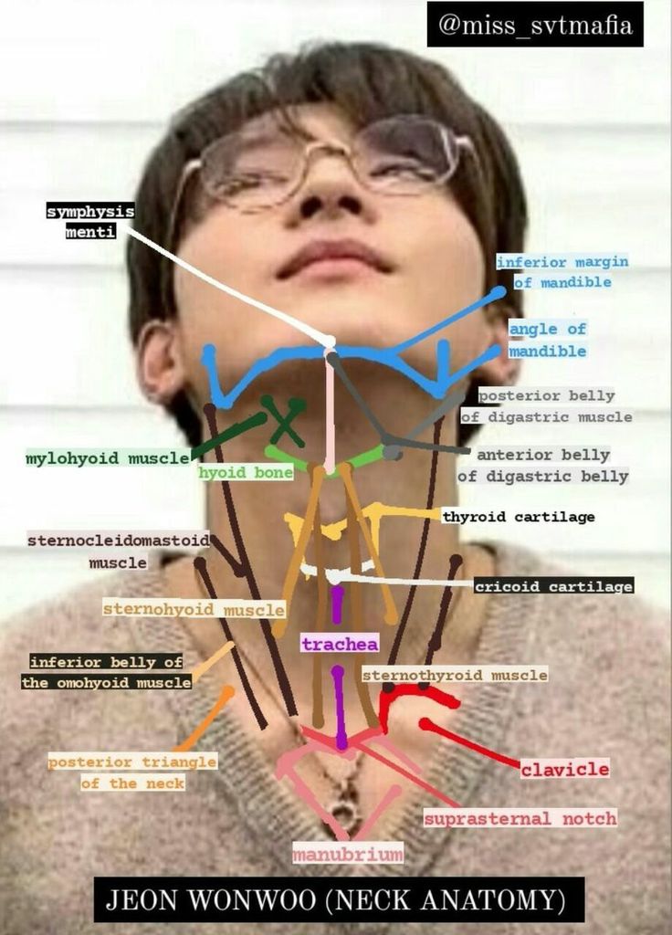 𝐬𝐮𝐦𝐬☆ tweet media