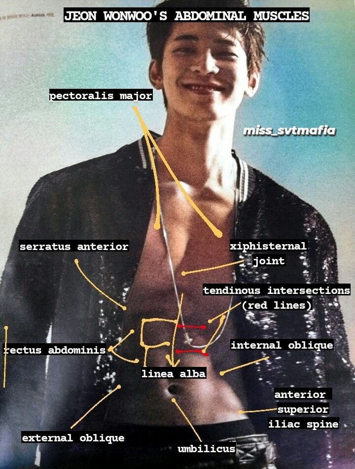 𝐬𝐮𝐦𝐬☆ tweet media