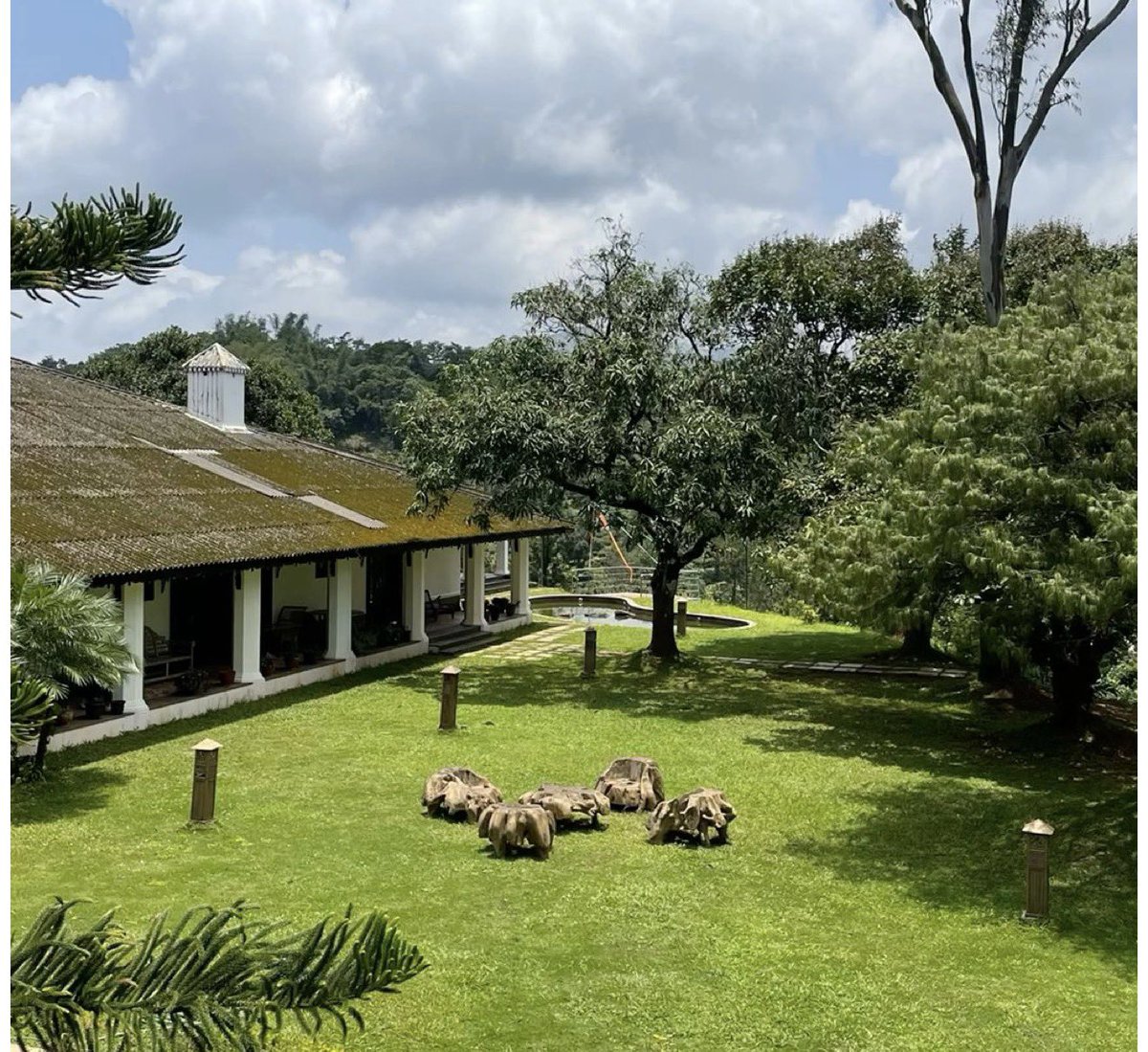 Douglas Lwanga tweet media