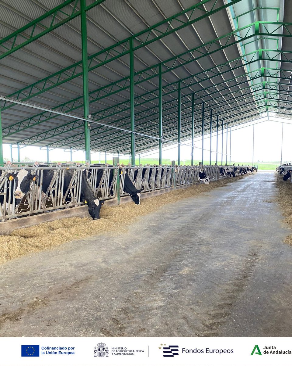 Demofarm Andalucia tweet media