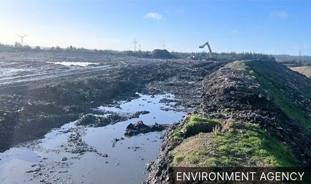 WasteBadger's tweet image. Fresh action pledged as Wareham Smell continues to pong swanage.news/fresh-action-p…
#Landfill
