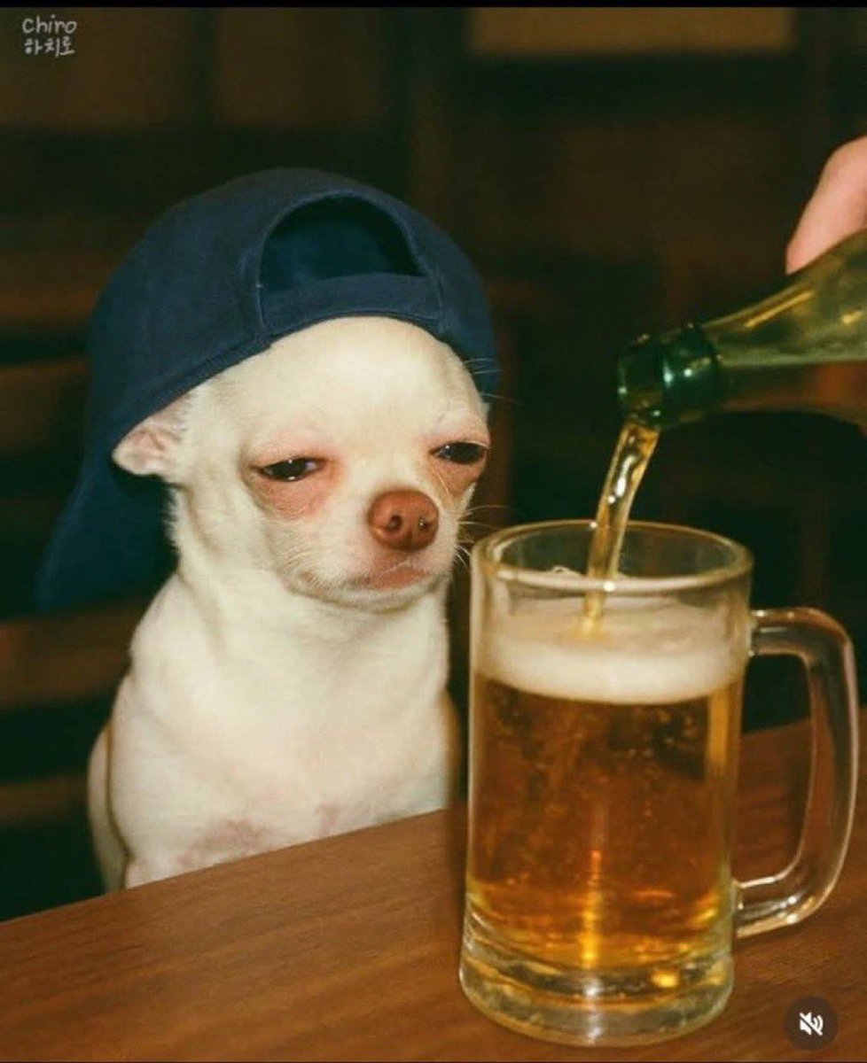 Arnolderic tweet media