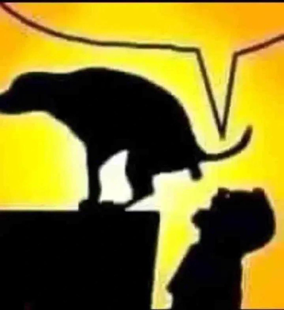 GamerNeutral_'s tweet photo. @alandete https://t.co/7CwCqz4Zob