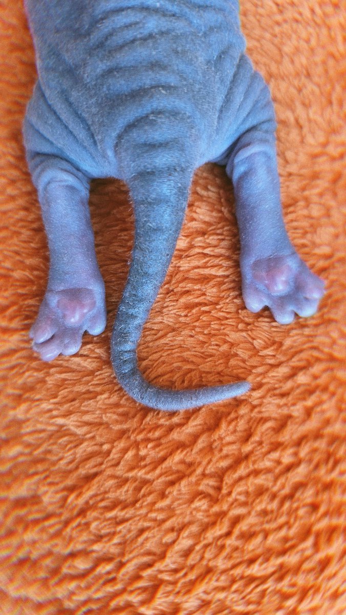 Ну что за пяточки такие?