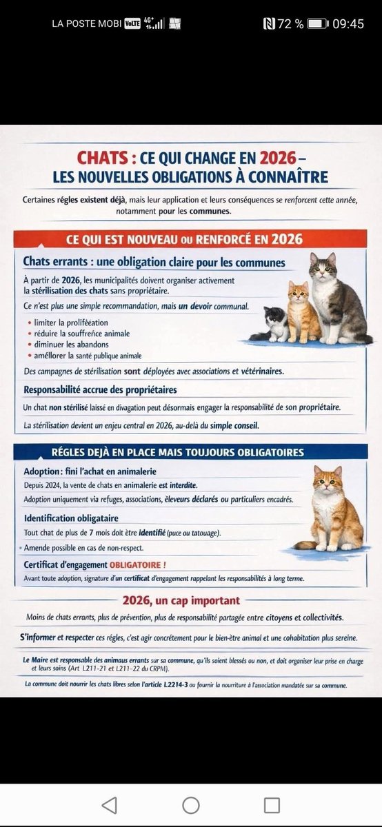 Loovenelle's tweet photo. Chats : nouvelles obligations à connaître https://t.co/UNddG1l5Hp