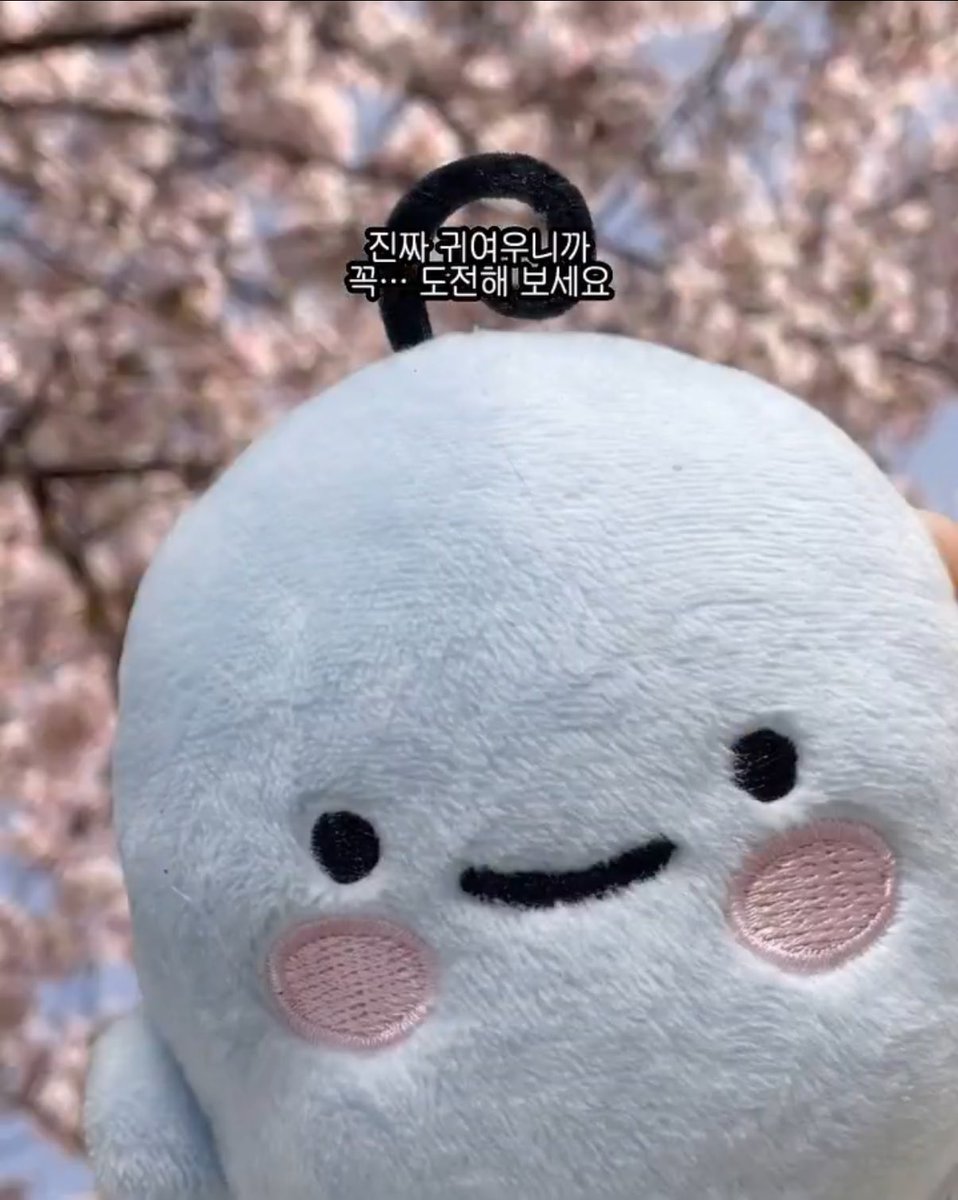 늘보🎉 tweet media