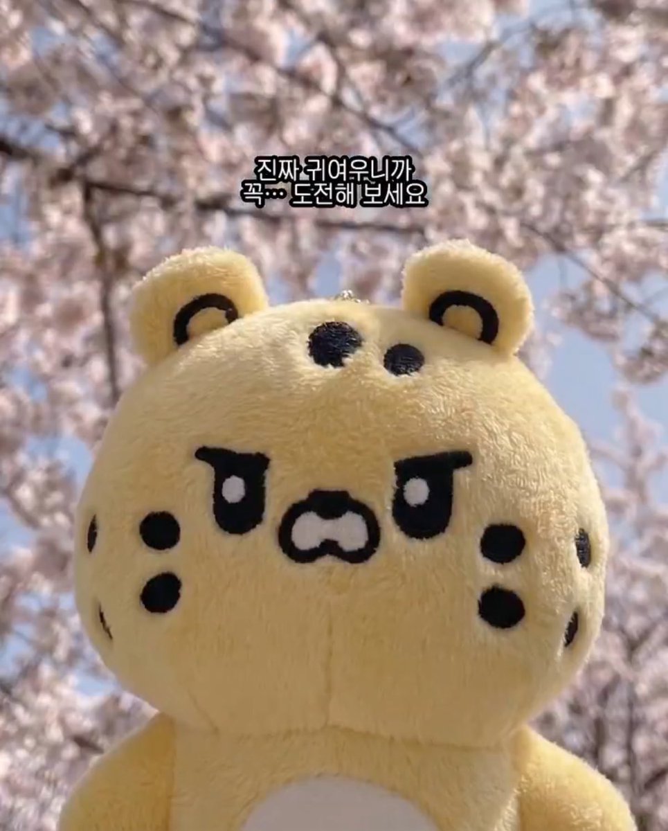 늘보🎉 tweet media