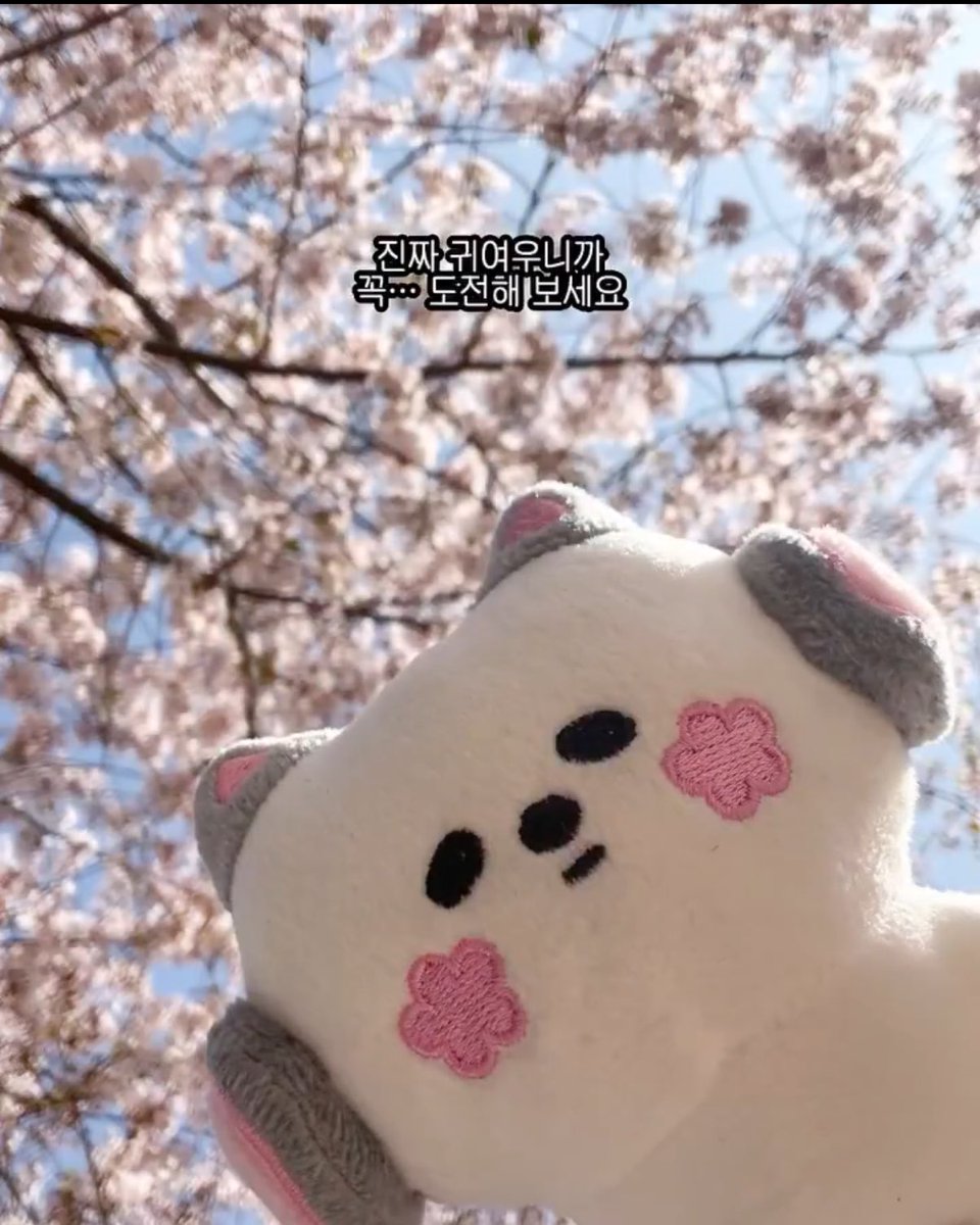 늘보🎉 tweet media