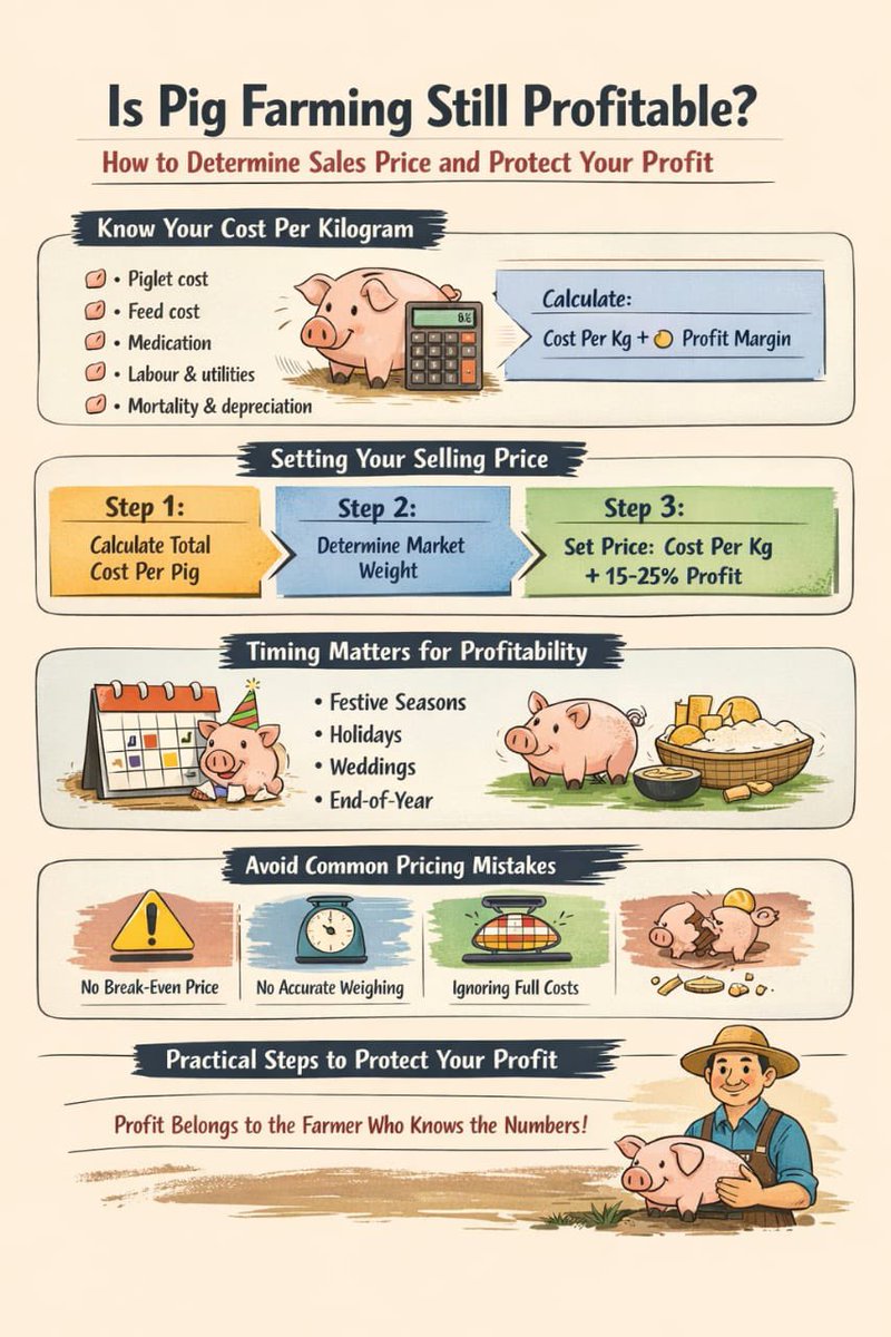 victor.eyo tweet media