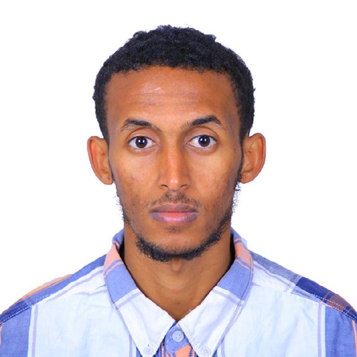 cusharyan tweet media