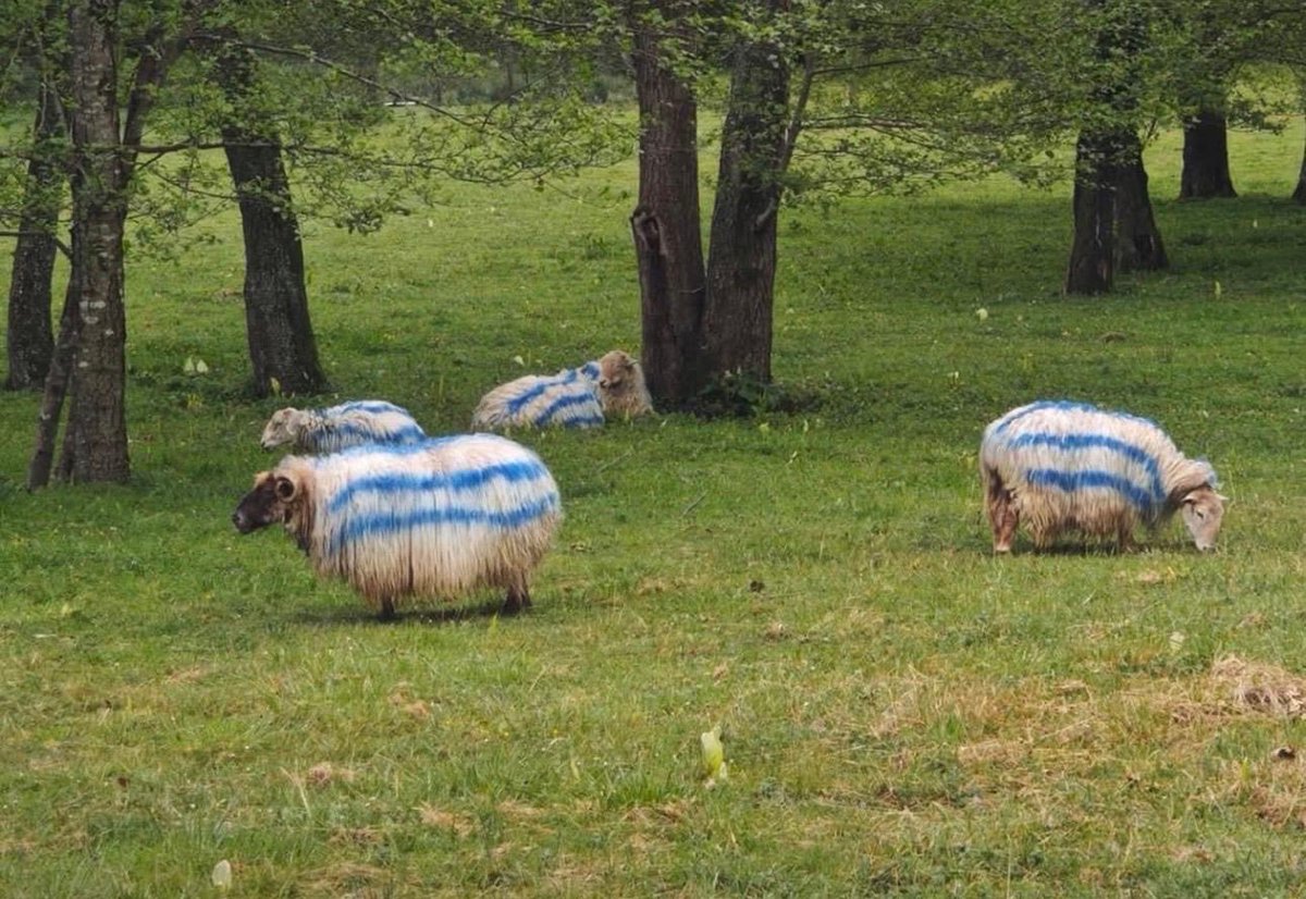 No, no es IA GOAZEN ERREALA!