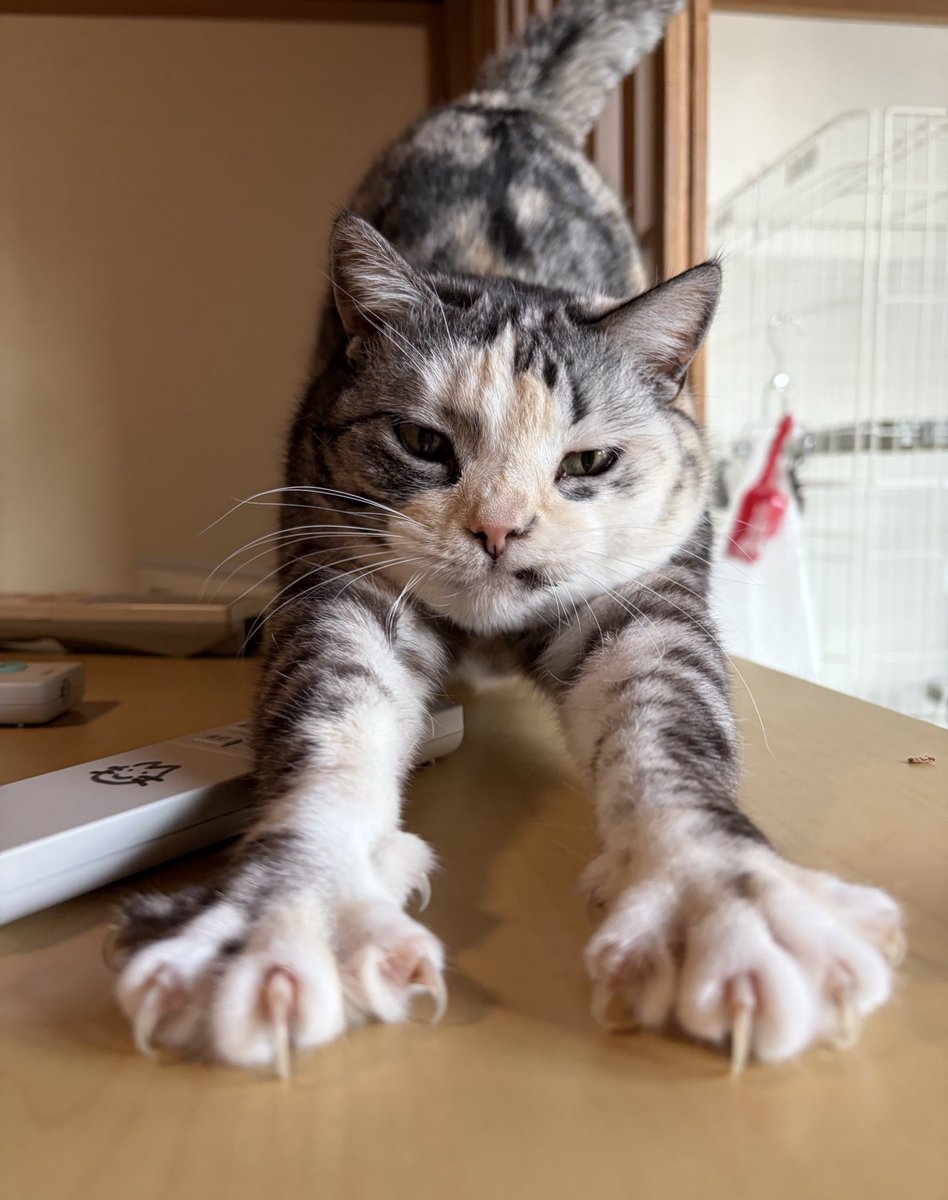 10年ニート tweet media