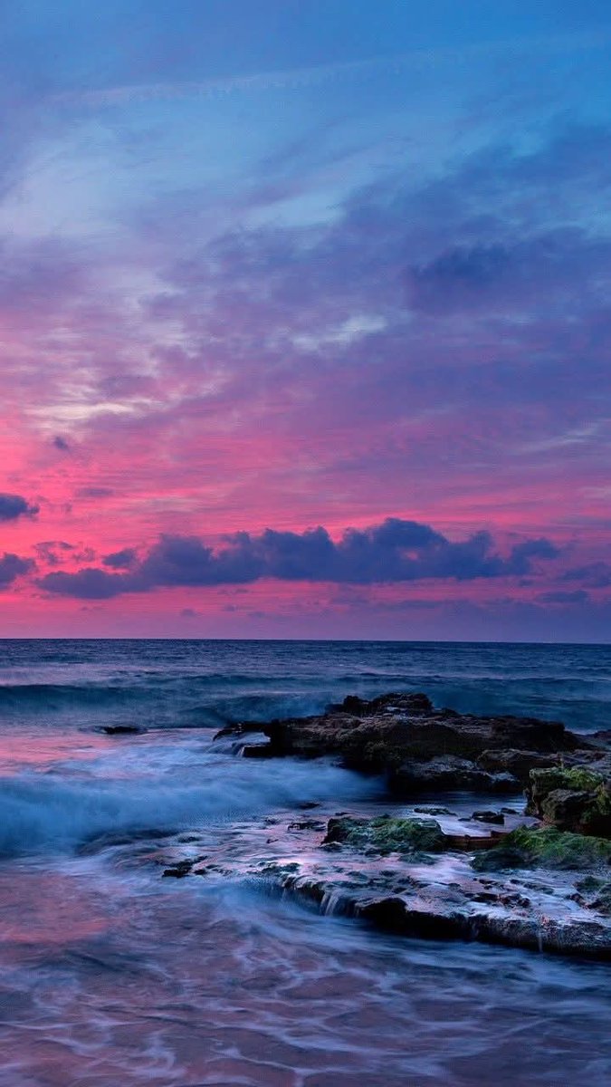 𝓜𝓸𝓸𝓷 tweet media