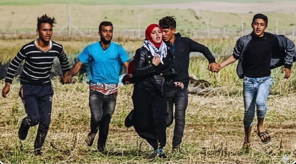 نرگس خاتون قاجار | NH Qajar tweet media