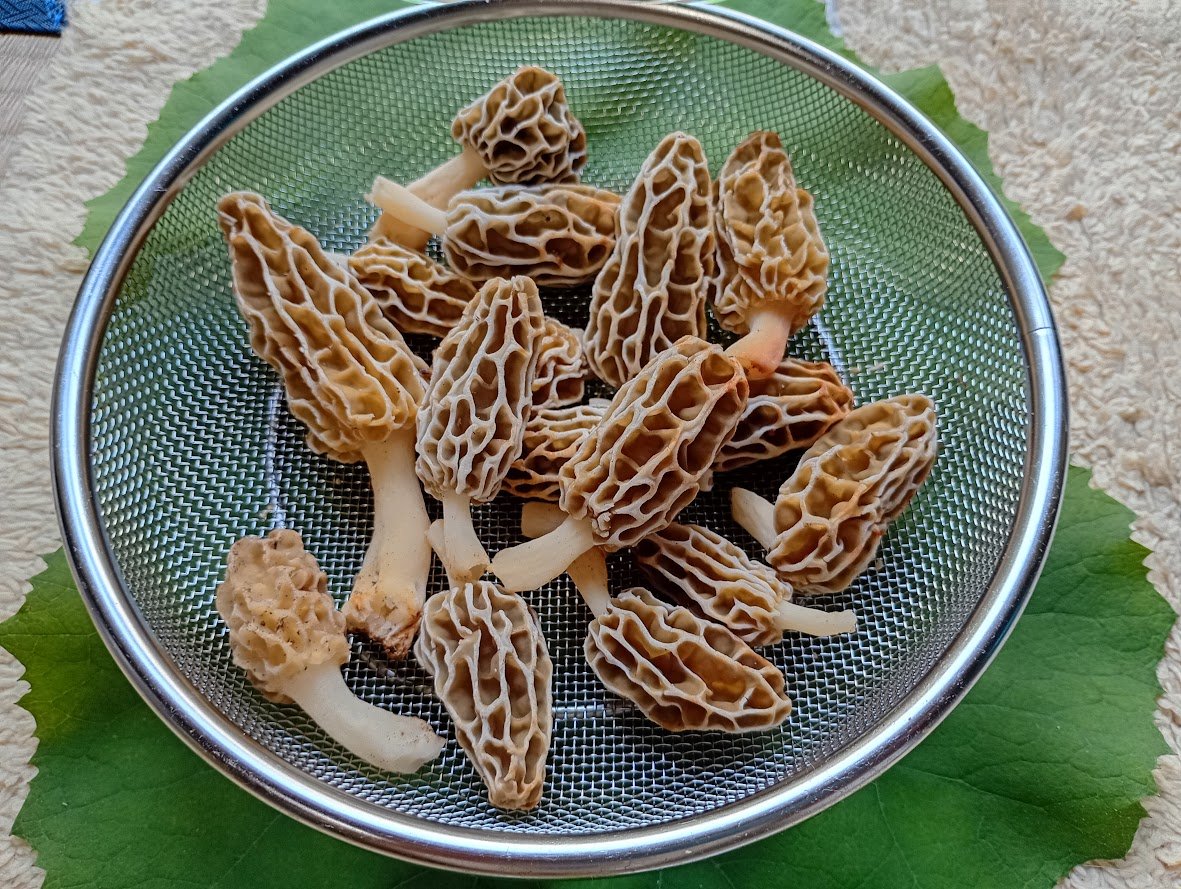 Masaru Takahashi tweet media