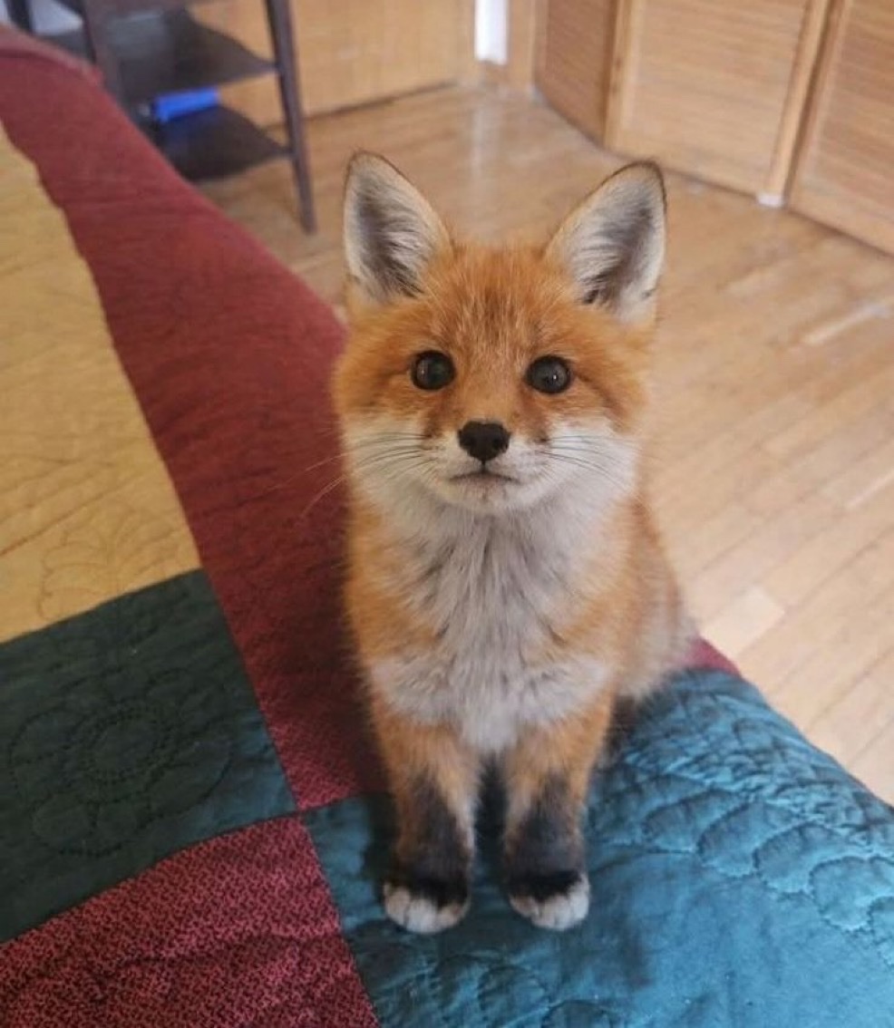 𝐌𝐚𝐭𝐭 𝐏𝐢𝐧𝐧𝐞𝐫 tweet media