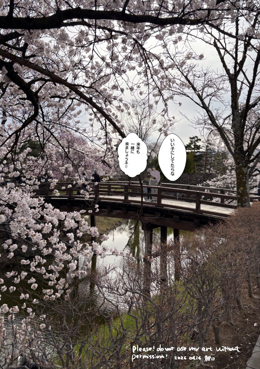 鯉口 tweet media