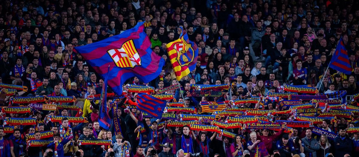 𝐥𝐞 𝐏𝐚𝐫𝐫𝐚𝐢𝐧 tweet media