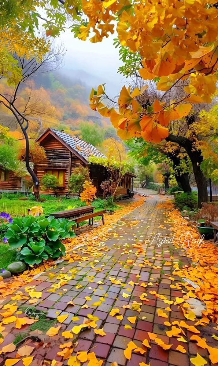 Selamünaleyküm herkese canlar. 
Saglıklı, mutlu, bol kazançlı bir gün diliyorum. 💛❤️🍬☕️