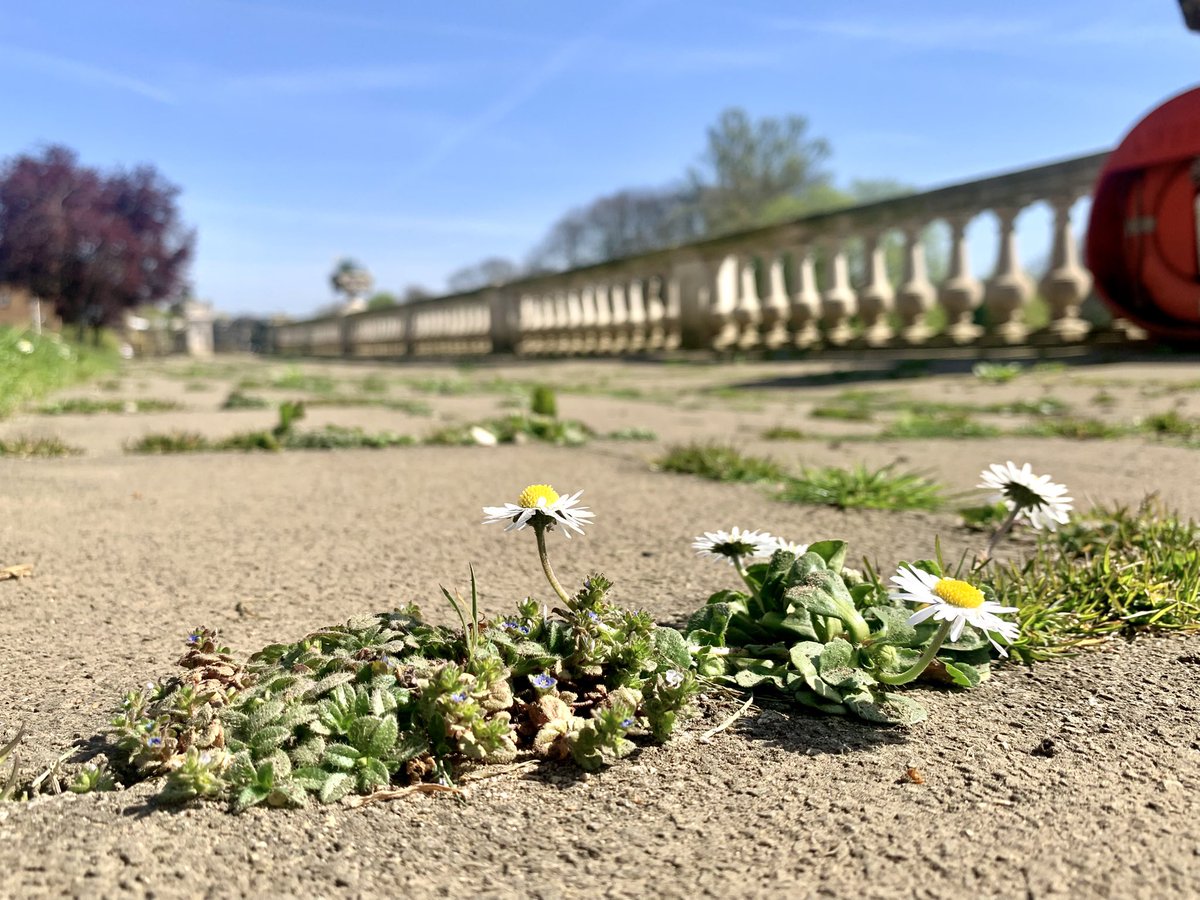 Ruth Wadey tweet media