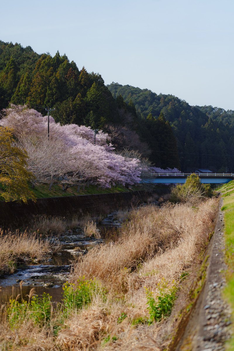 奥三河と奥浜名湖 tweet media