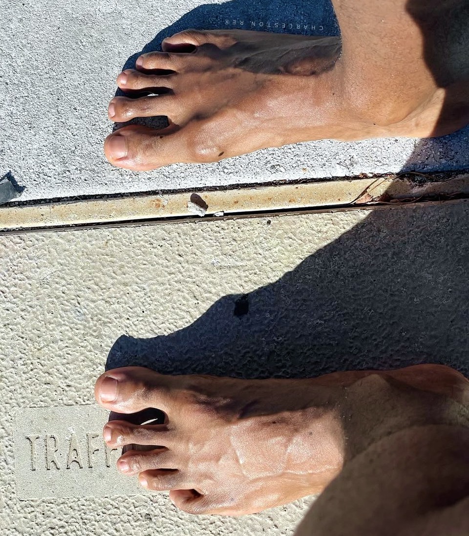 CHARLESTON REXINGTON tweet media