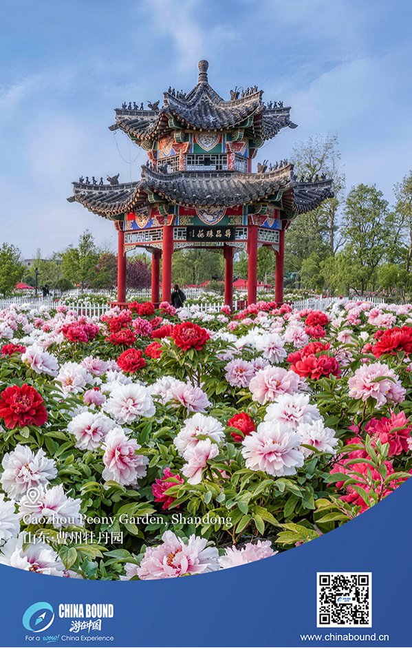 Embassy of China in Belgium tweet media