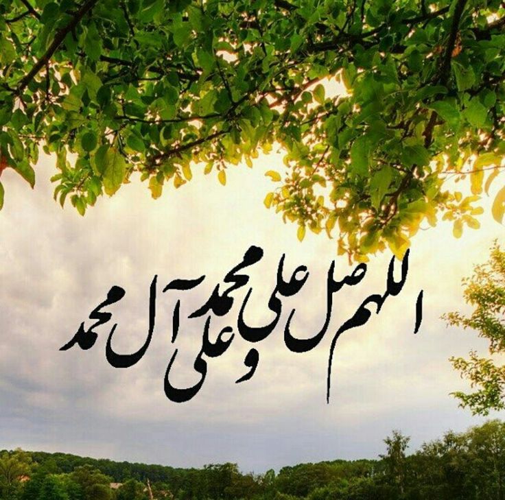 محمدی tweet media
