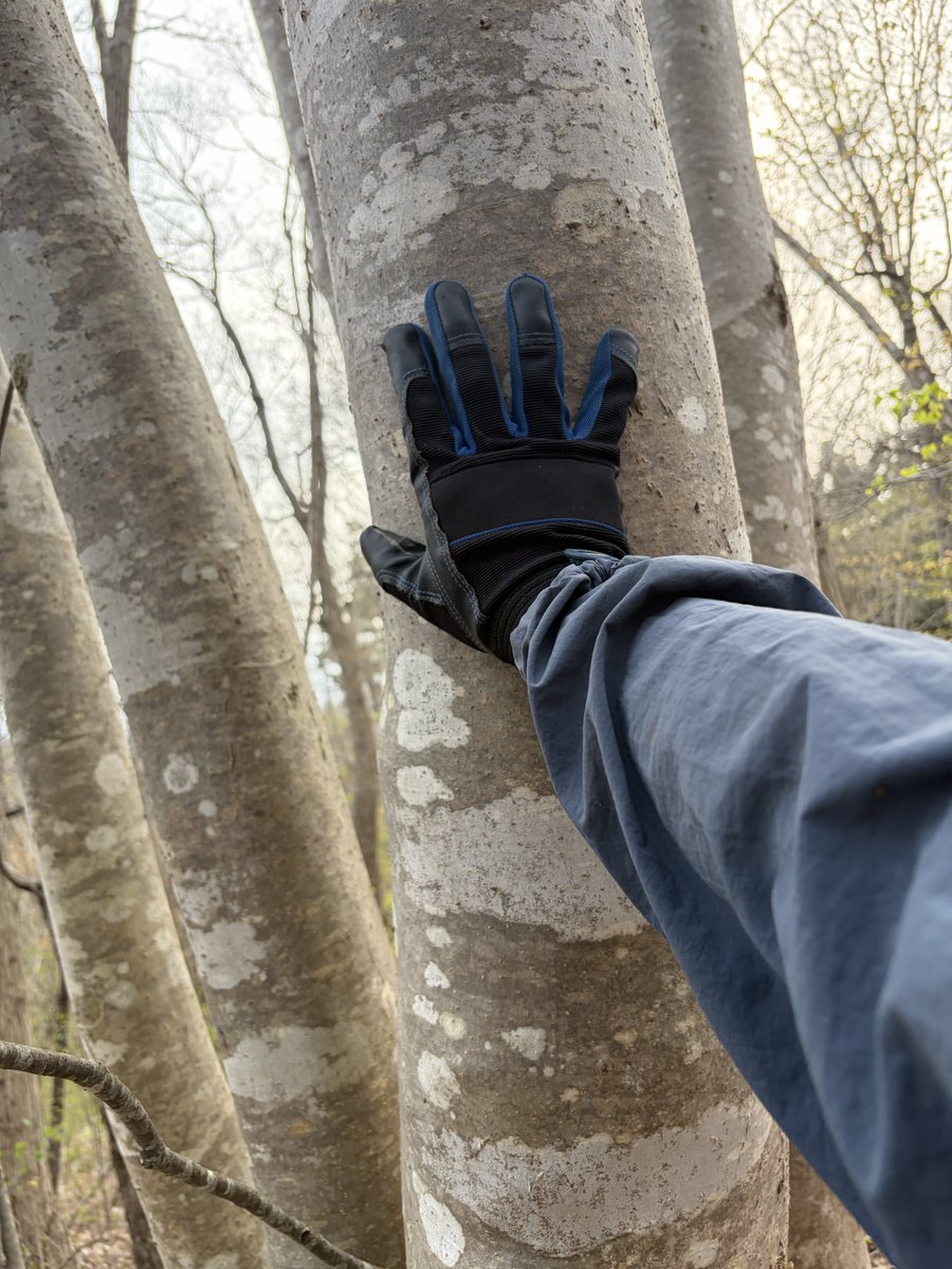 熊五郎157 tweet media