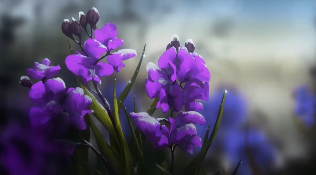 Alpha🥇⭐ tweet media