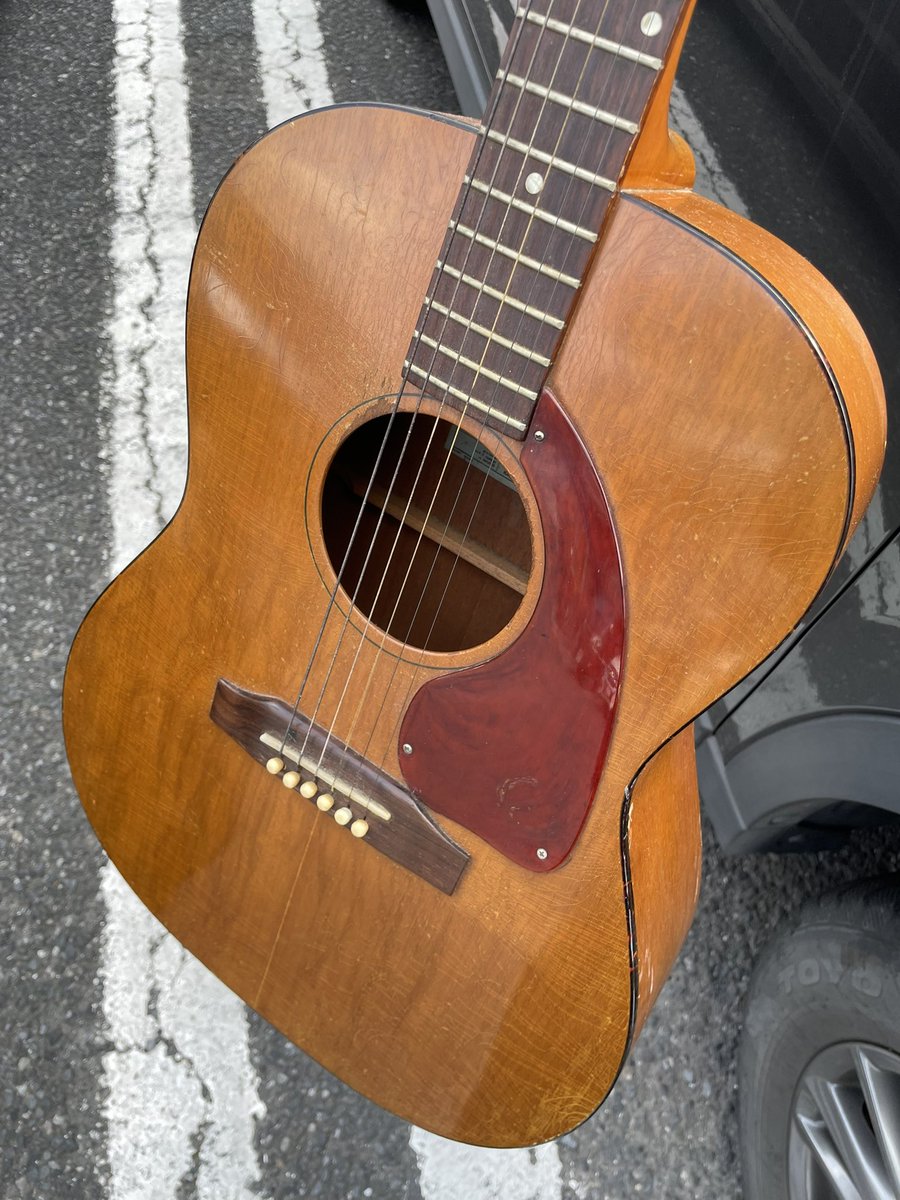 けんし🍋は〜もにゃん tweet media