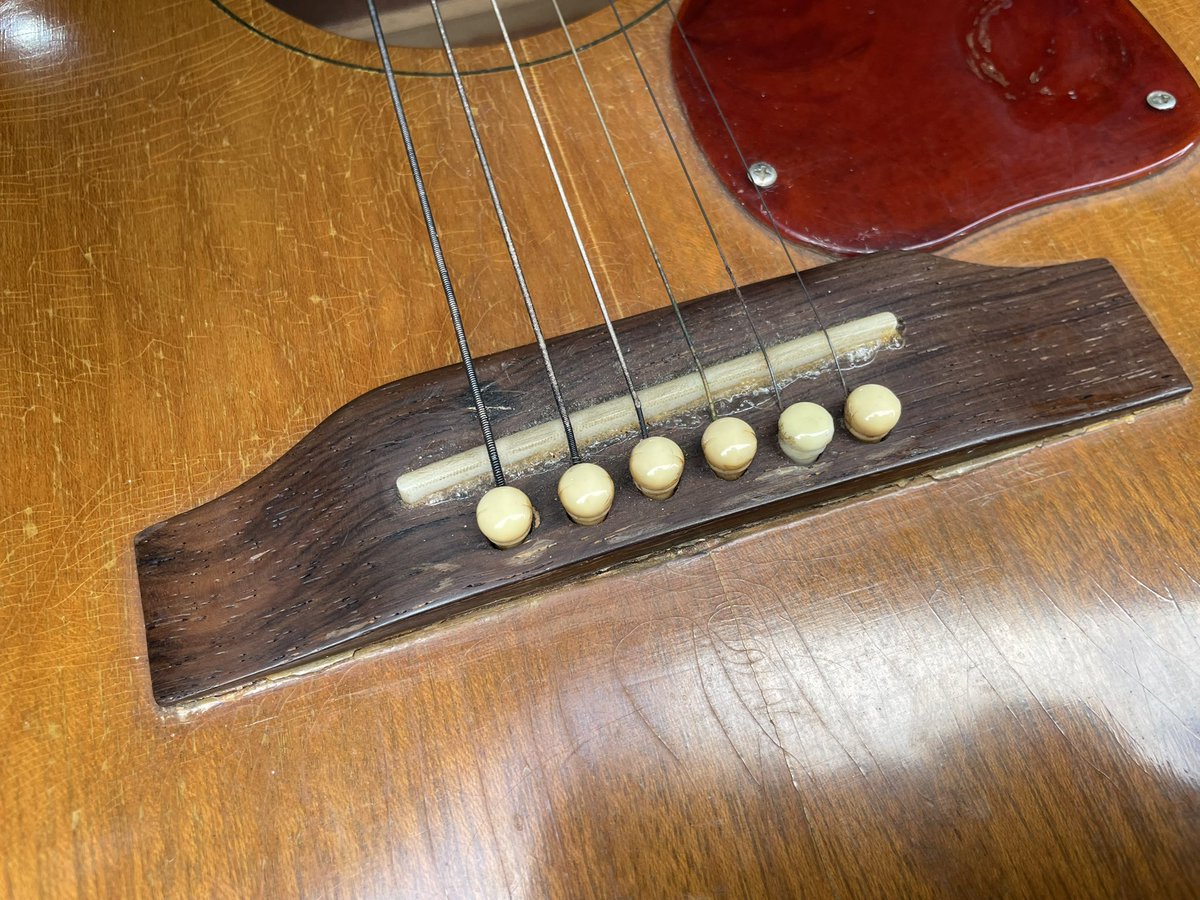 けんし🍋は〜もにゃん tweet media