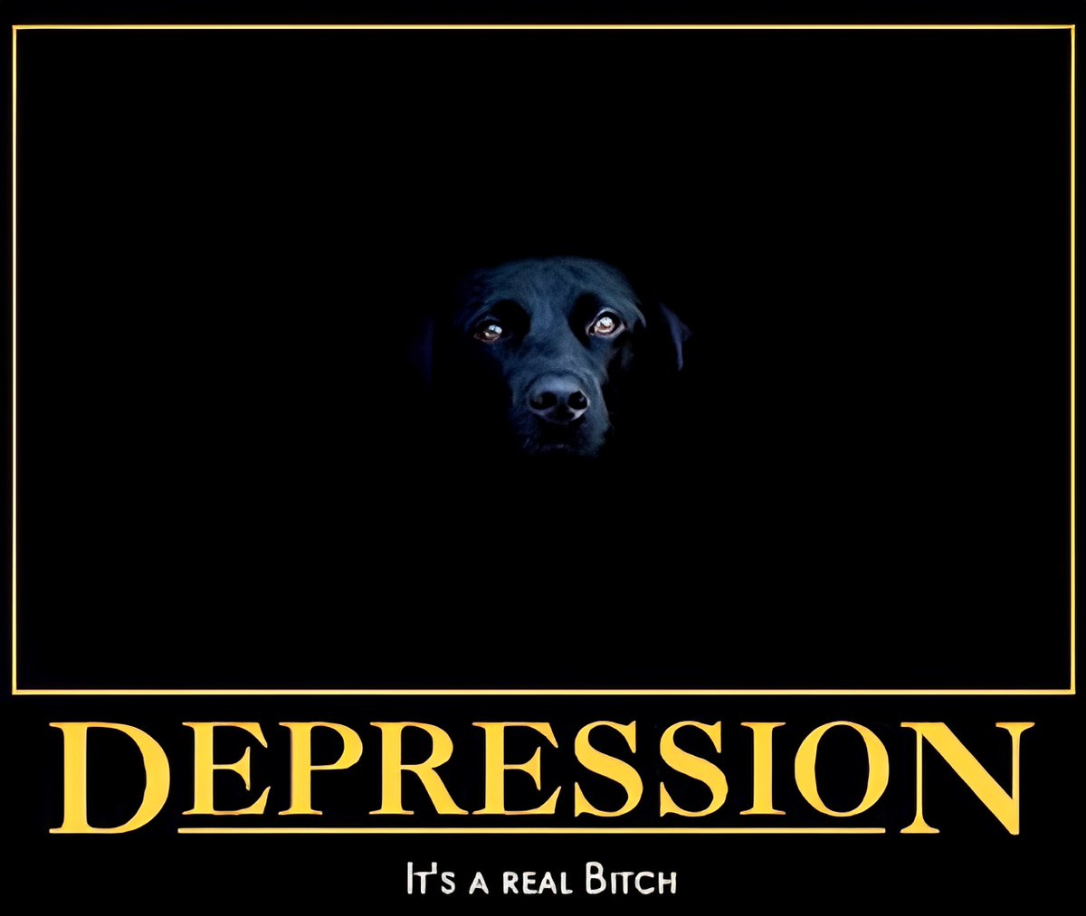 Mal 'Pram' Kiely tweet media